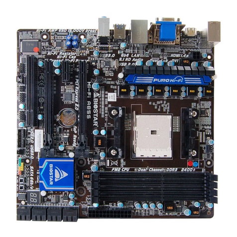 Biostar Hi-Fi A85S User guide