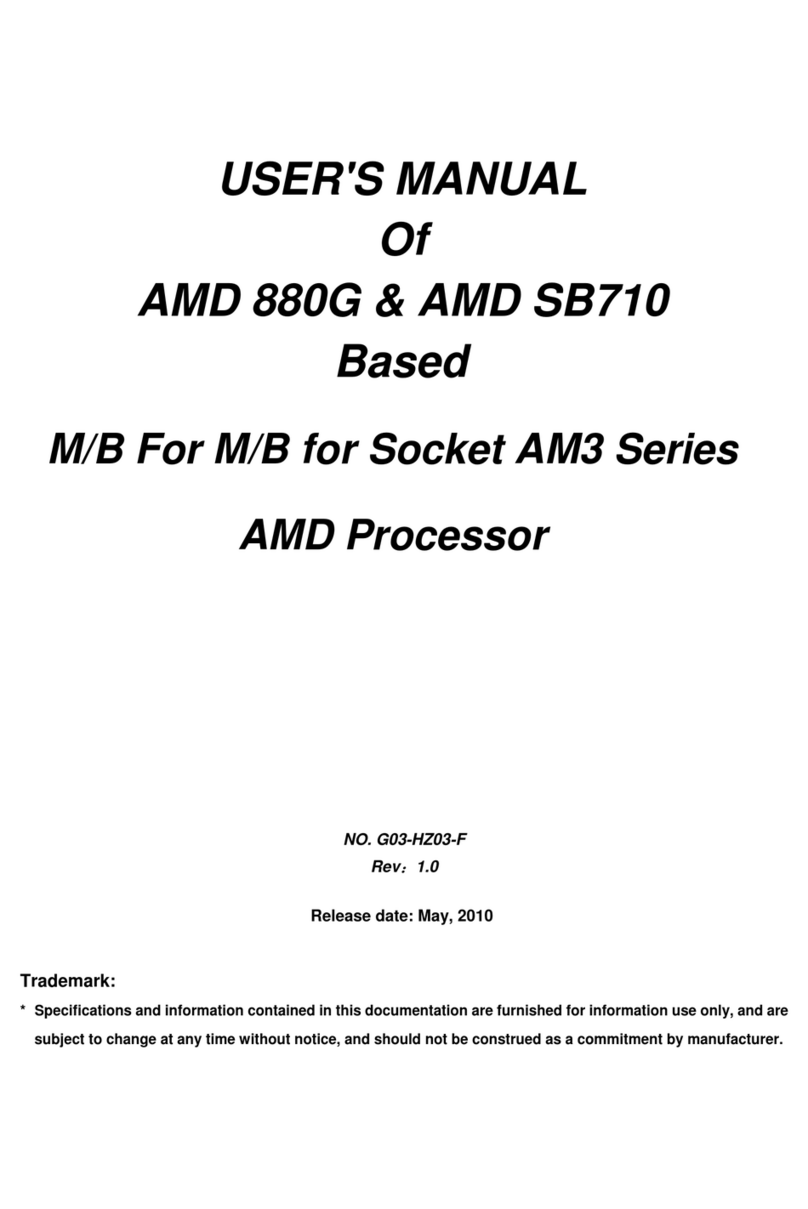 AMD 880G User manual
