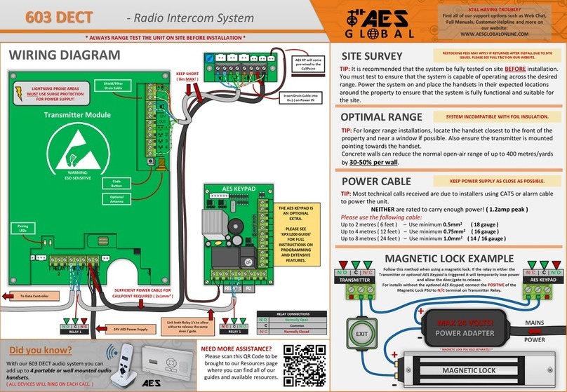 AES global 603 DECT User manual