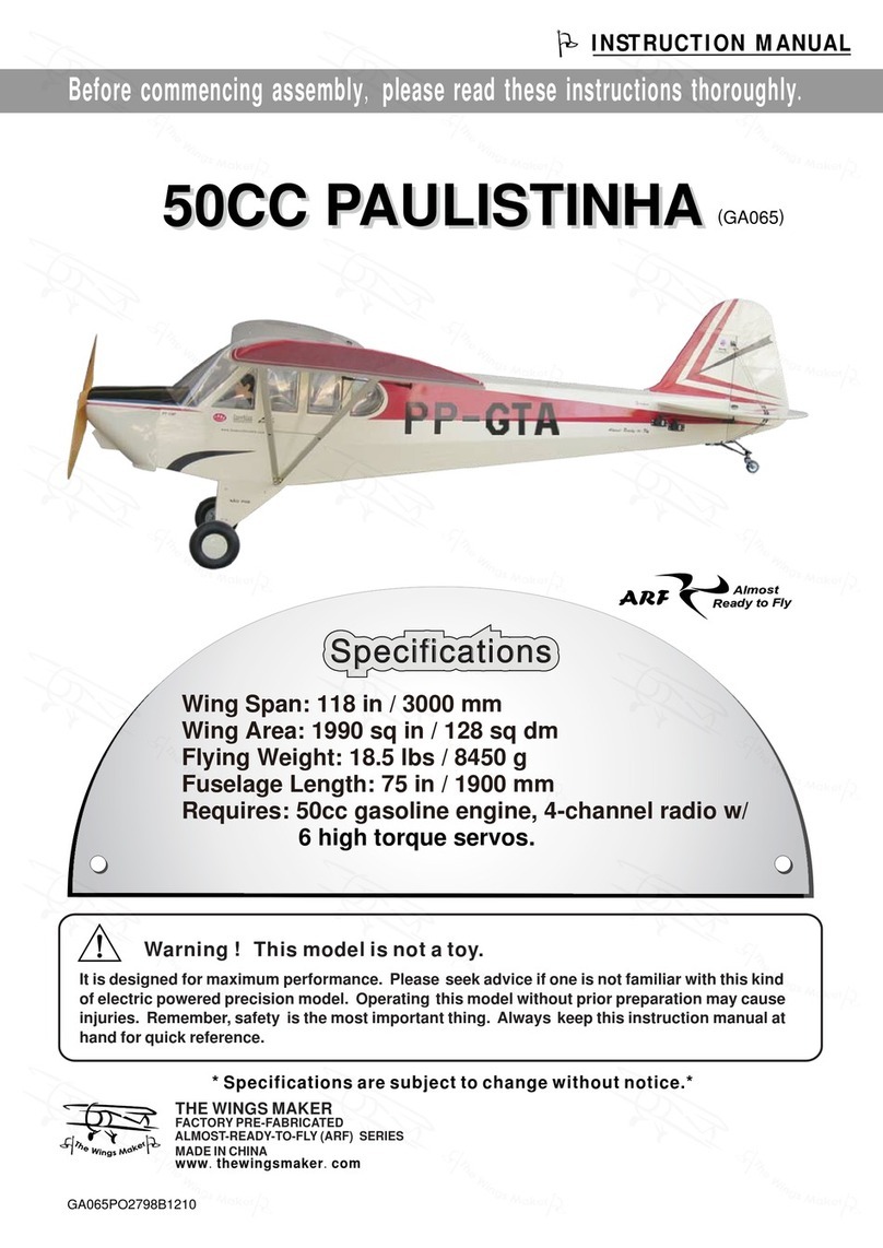 THE WORLD MODELS 50CC Paulistinha User manual