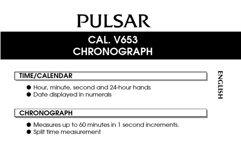 Pulsar V653 manual