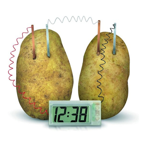 4M Green Science Potato Clock manual