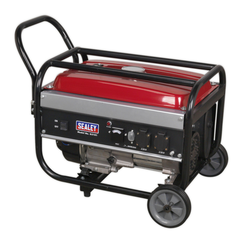 Sealey G3101 User manual
