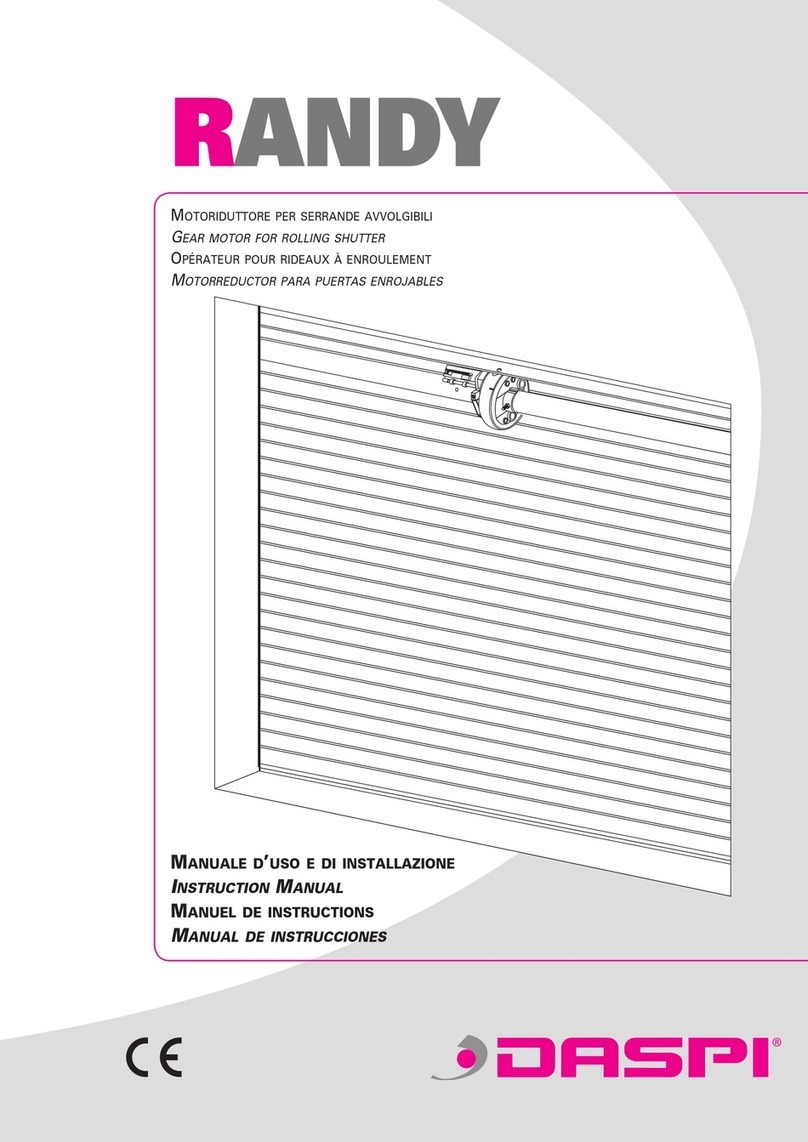 Daspi RANDY instruction manual