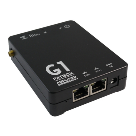 AMPLIFIED ENGINEERING G1 FATBOX manual