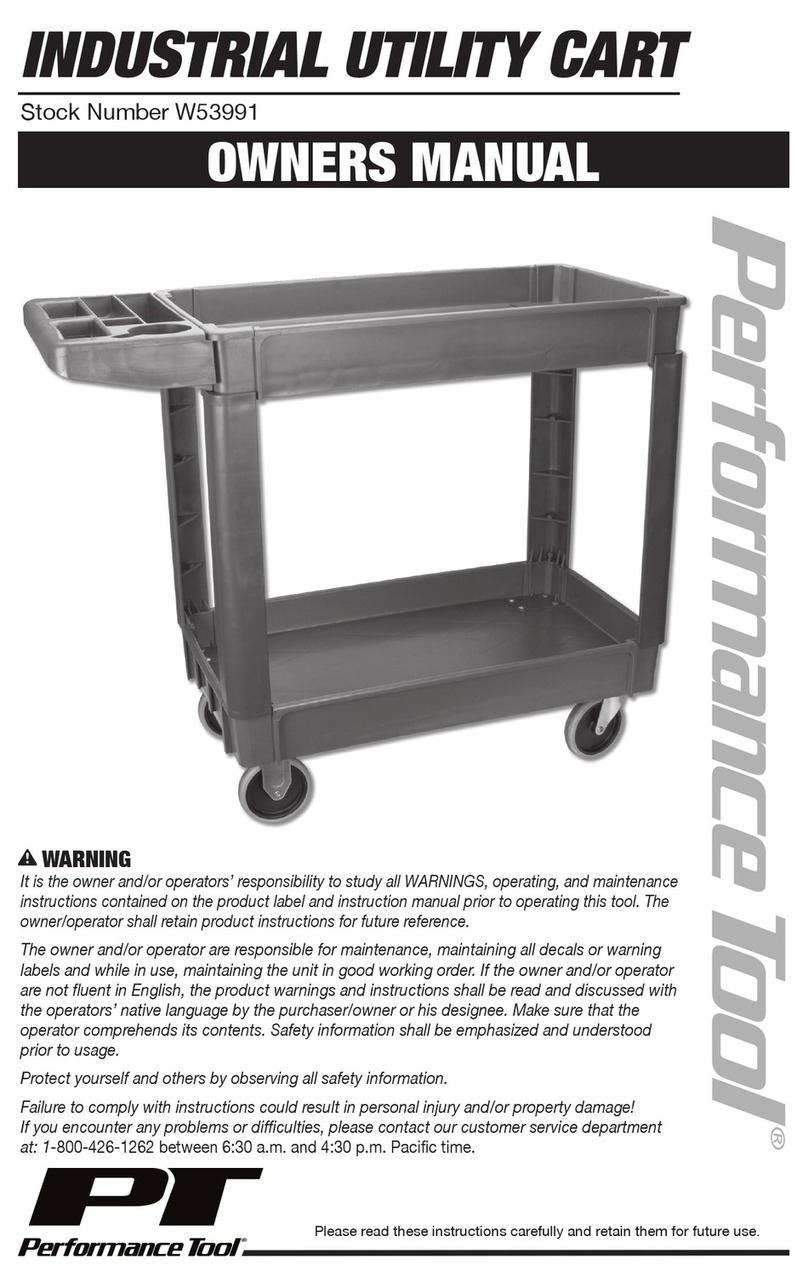PT W53991 owner's manual