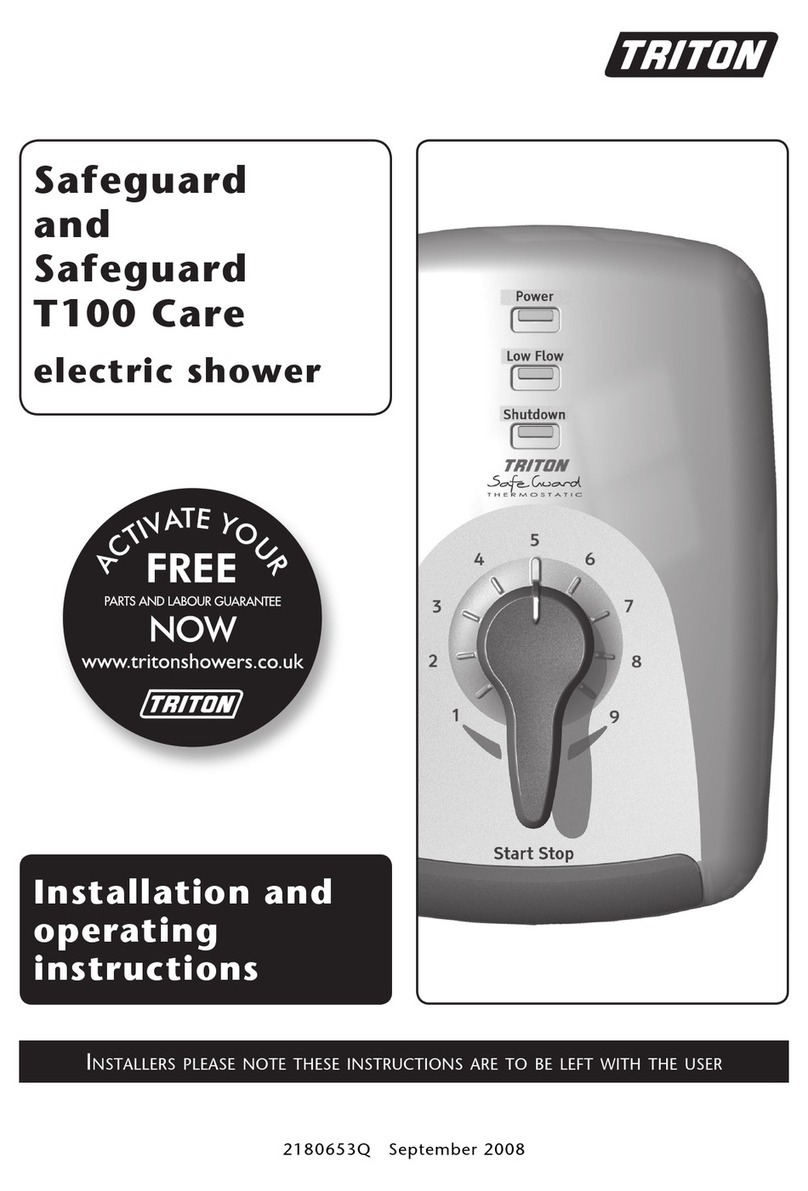 Triton Safeguard User manual Triton Safeguard User manual