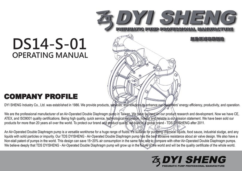 DYI SHENG DS14-S-01 User manual