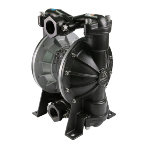 DYI SHENG DS20-S-02 User manual