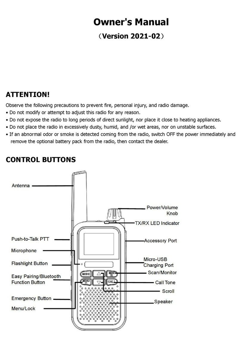 KST AT100 User manual