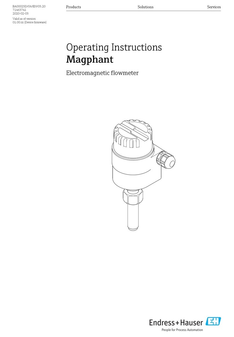 Endress+Hauser magphant operating instructions