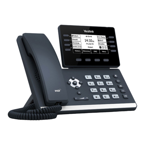 VOICE2NET YL53 user guide