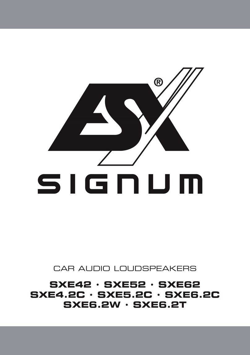 Audiodesign ESX SIGNUM SXE42 User manual