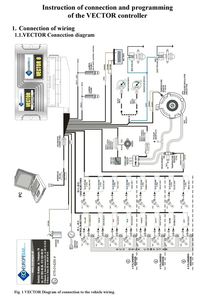 EuropeGas VECTOR Instruction of connection and programming