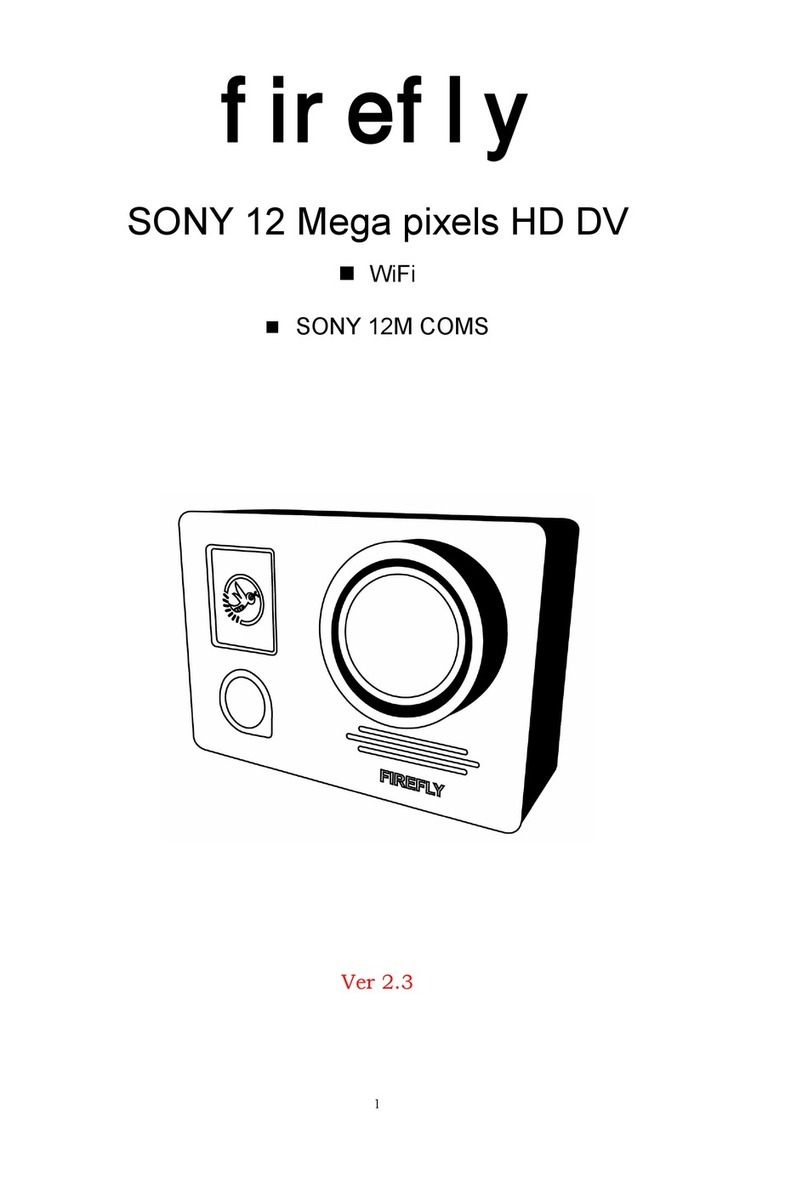 Firefly DVR603 manual