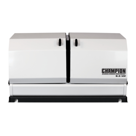Champion Global Power Equipment 100199 Operator's manual