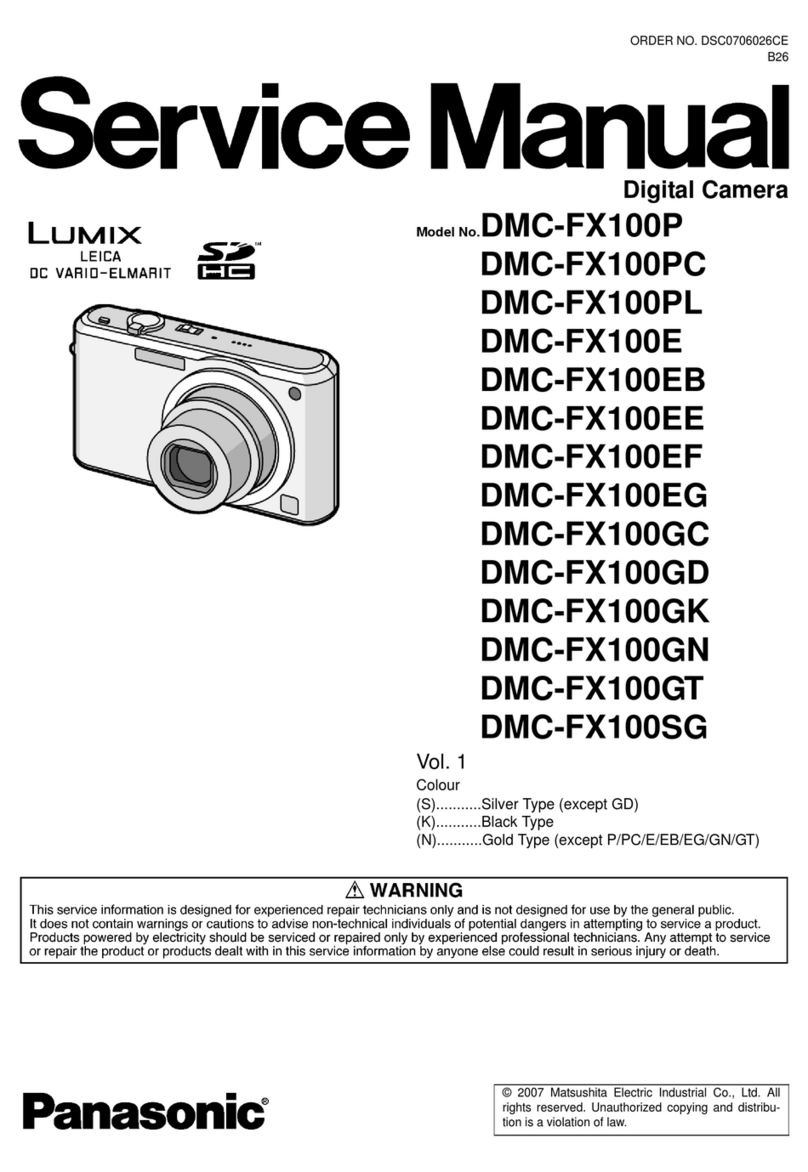 Panasonic Lumix DMC-FX100P User manual