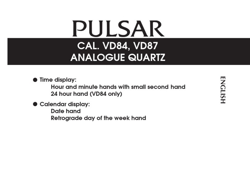 Pulsar VD84 manual