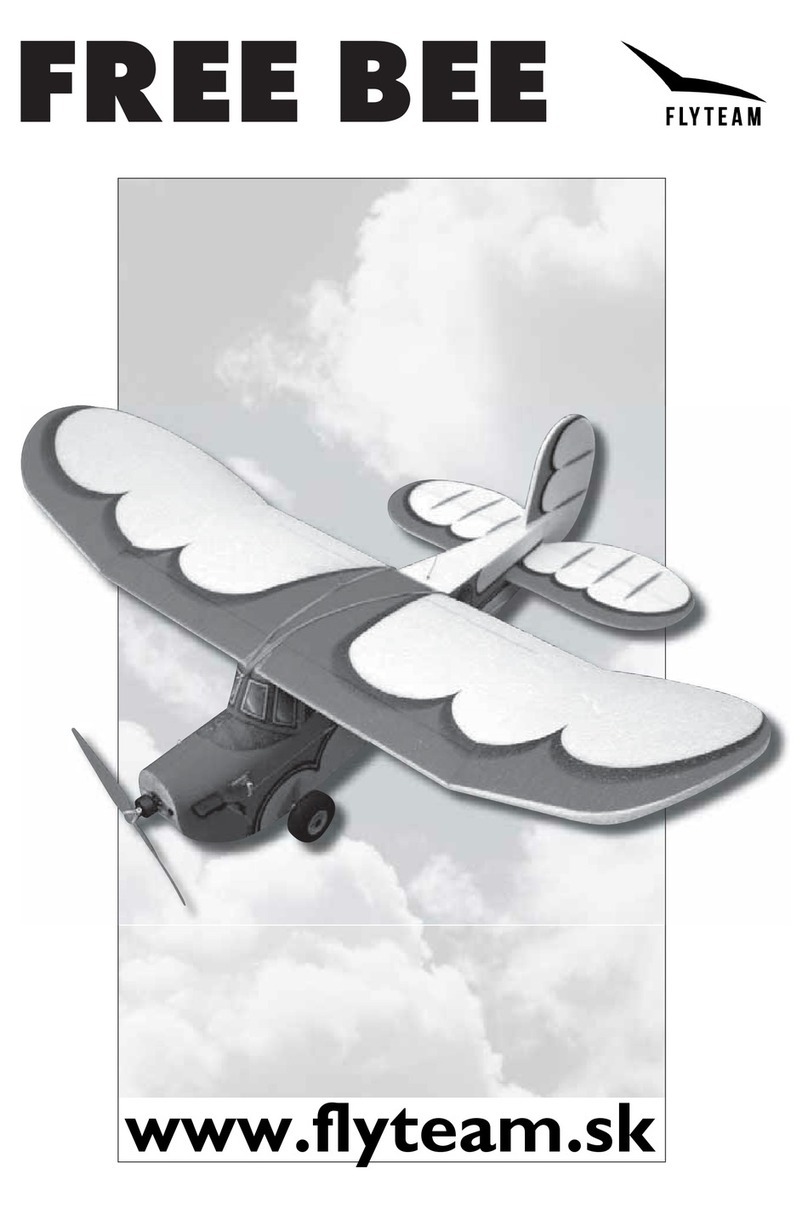 FLYTEAM FREE BEE manual