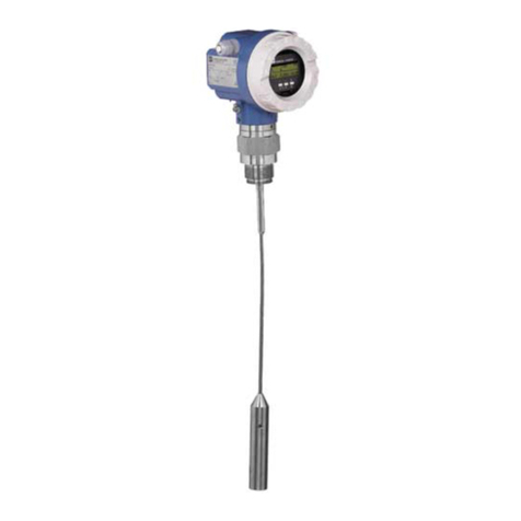 Endress+Hauser Levelflex M FMP43 Brief operating instructions