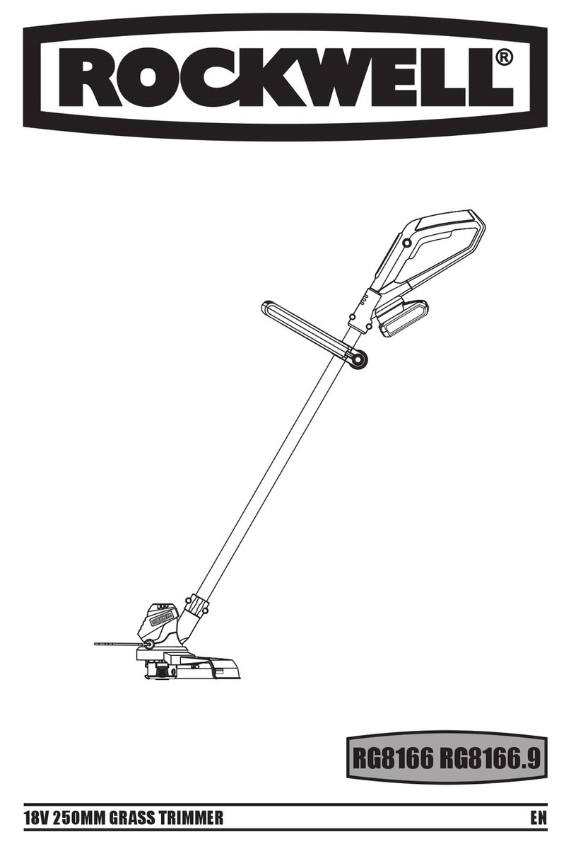 Rockwell RG8166 manual
