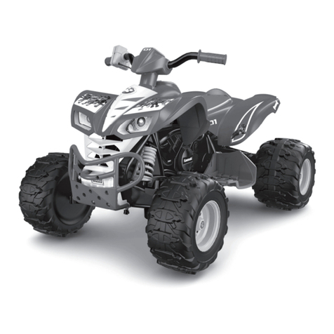 Power Wheels FCD21 Datasheet