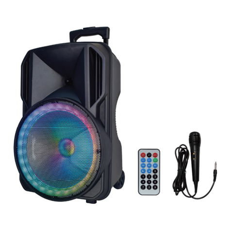 Axess PABT 6030 User manual