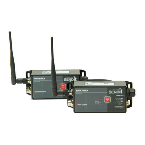 Rice Lake SENDit installation manual