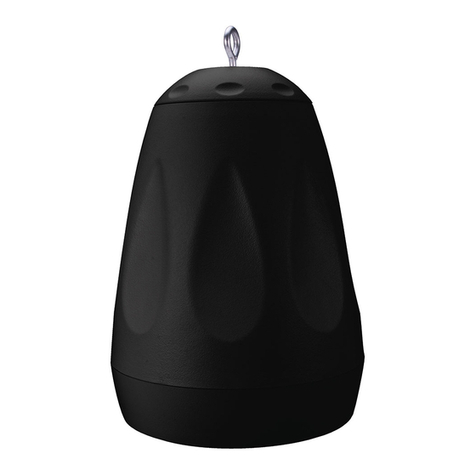 Beale Street Audio WP6V-BSC User manual