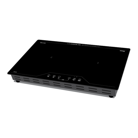 German pool GIC-DF28B user manual