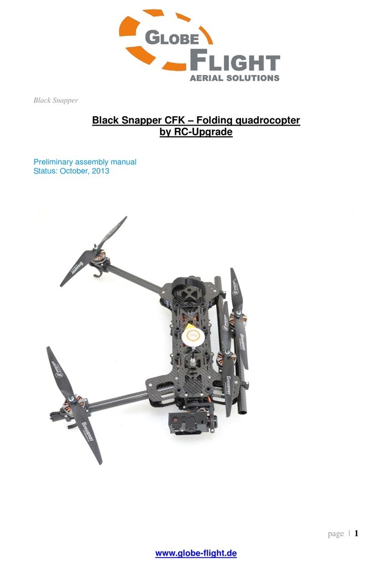 RC-Upgrade Globe Flight Black Snapper CFK Preliminary assembly manual