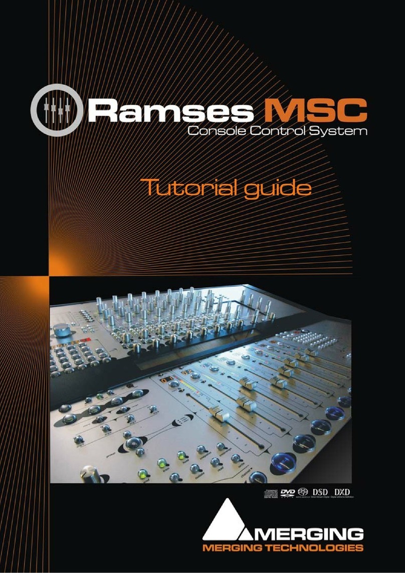 Merging Ramses MSC Tutorial Guide