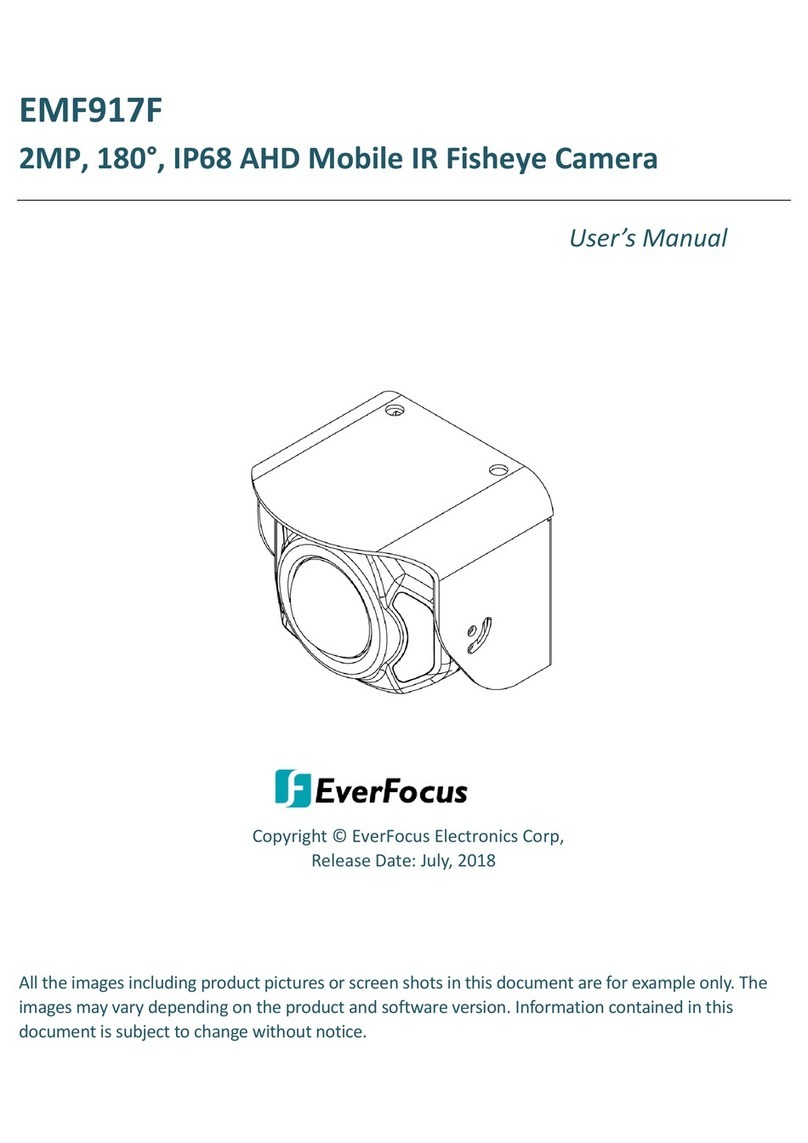 EverFocus EMF917F user manual