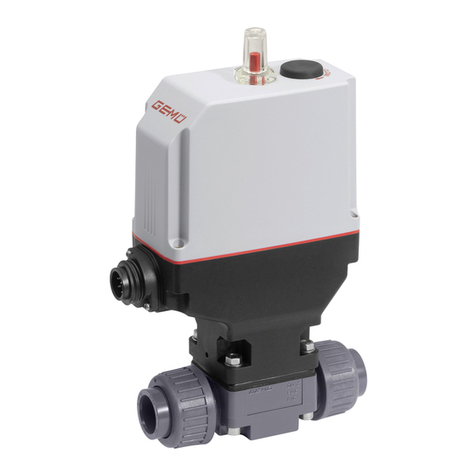 GEM eSyLite R629 User manual