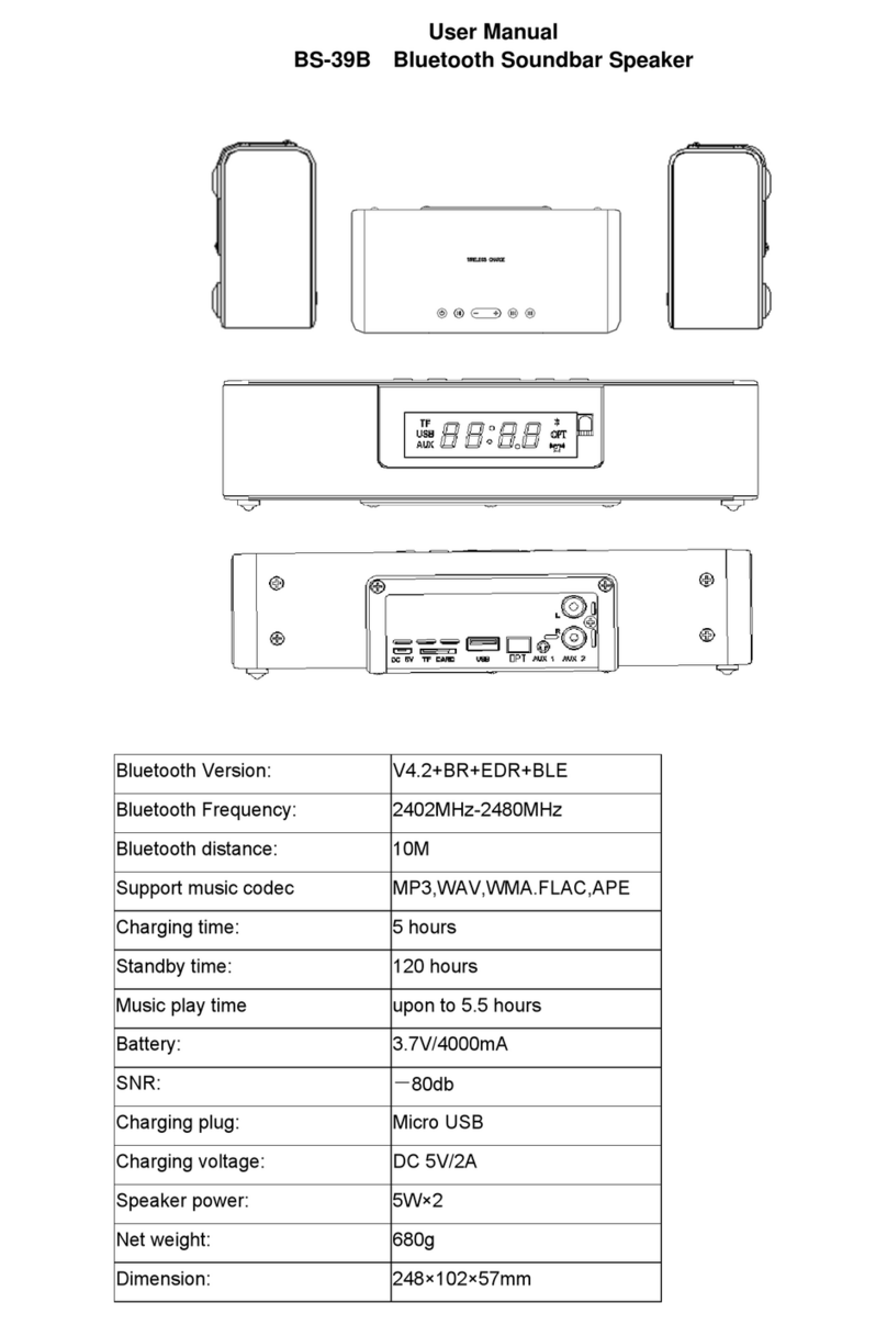 Raitron BS-39B user manual