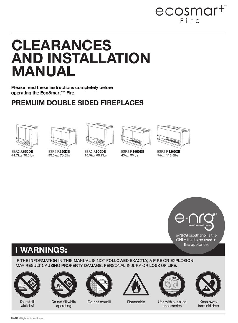 EcoSmart Fire 650DB User manual