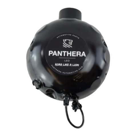 panthera Leo ASC installation instructions