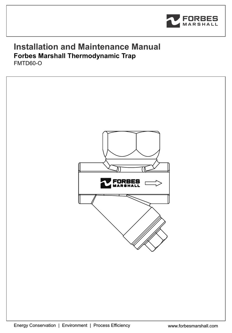 Forbes Marshall FMTD60-O Installation and maintenance manual