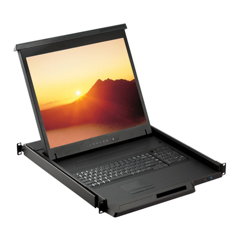 CyberView H117 User manual