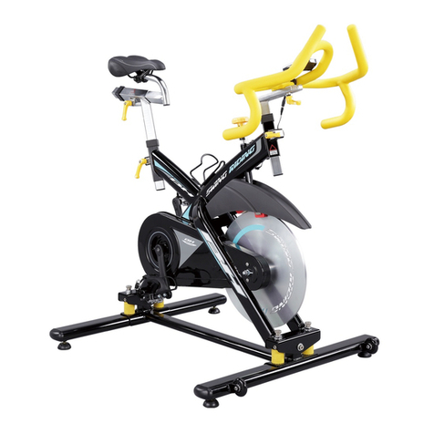 BH FITNESS Swing Riding BS999 user manual