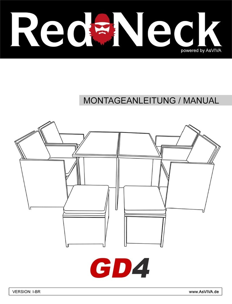 AsVIVA REDNECK GD4 manual