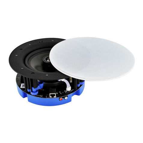 MT-POWER AUDIO PSW-60 R v2 user manual