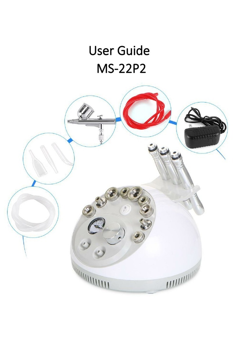 mychway MS-22P2 user guide