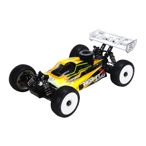 Horizon Hobby Team Losi Racing 8ight 2.0EU User manual