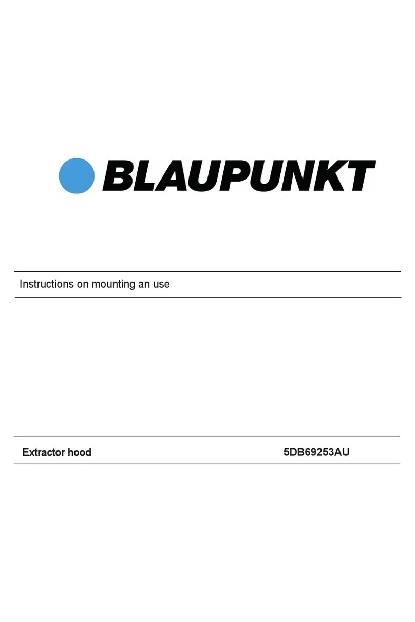 Blaupunkt 5DB69253AU Instructions on mounting an use