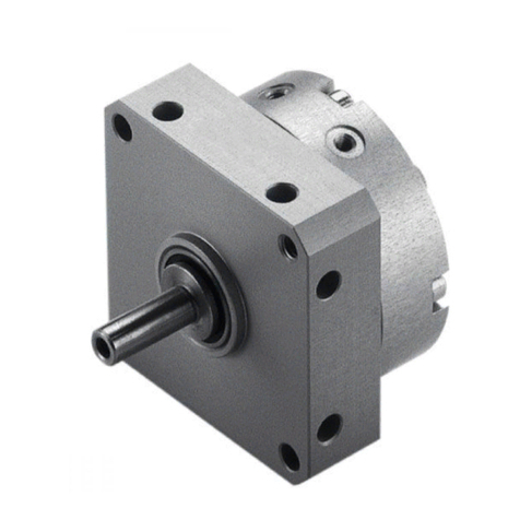 Festo DSM Series operating instructions