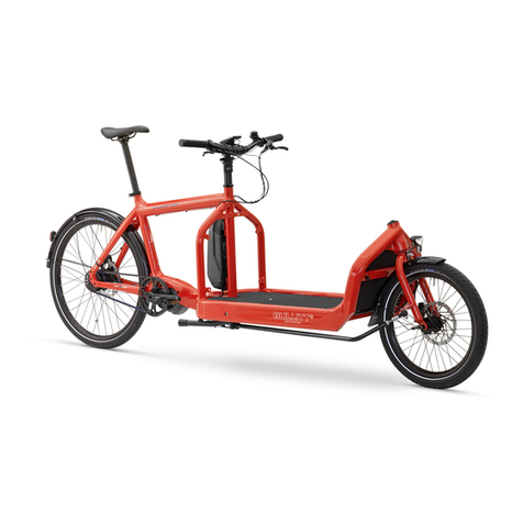 Larry vs Harry Shimano Steps E-Bullitt manual