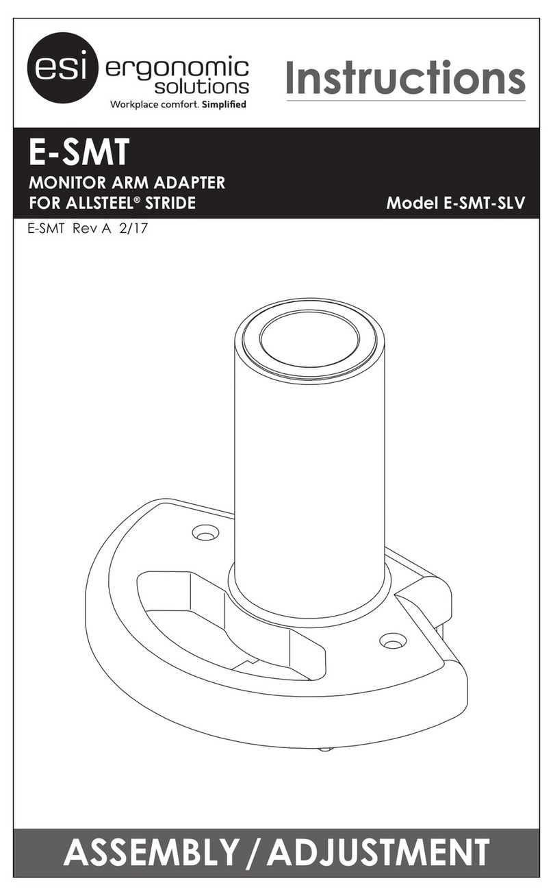 ESI E-SMT instructions