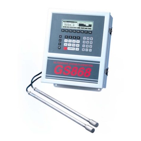 GE DigitalFlow GS868 User manual