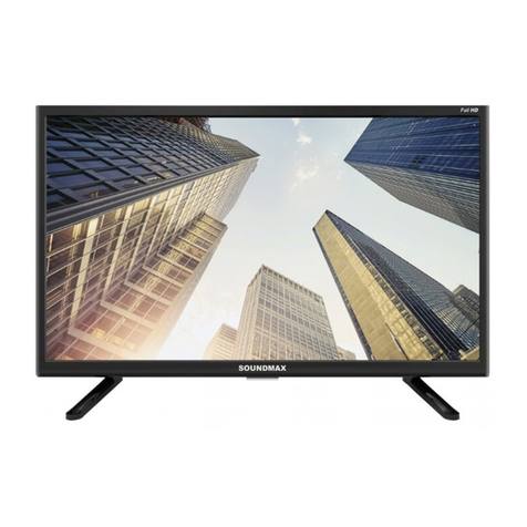SoundMax SM-LED22M06 instruction manual